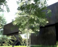 artlantis-studio-3