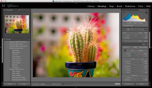 Adobe-Lightroom-5-screenshot